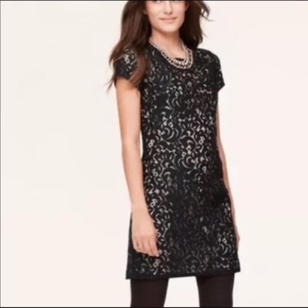 Black Loft Lace Dress with Blush Underlay. Tie back. Size 4p.